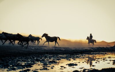 Retiro Cavalos, Oceano e Deserto